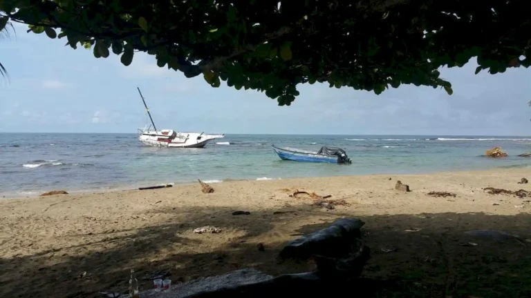 Puerto Viejo de Talamanca
